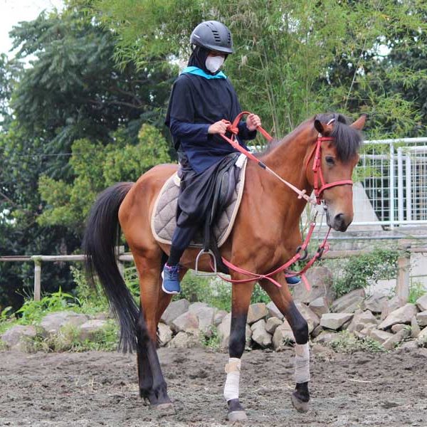 Latihan Berkuda, Ekskul Favorit Siswa SMK DTBS